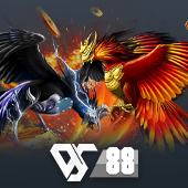 Sabong at SSG77 - Online Sabong Betting